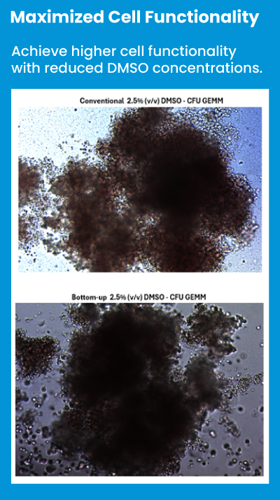 Maximized Cell Functionality - Achieve higher cell functionality with reduced DMSO concentrations.